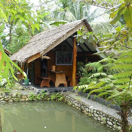 Magpie Homestay & Jungle Trekking Only For Guest Trekking With Us Bukit Lawang Zewnętrze zdjęcie