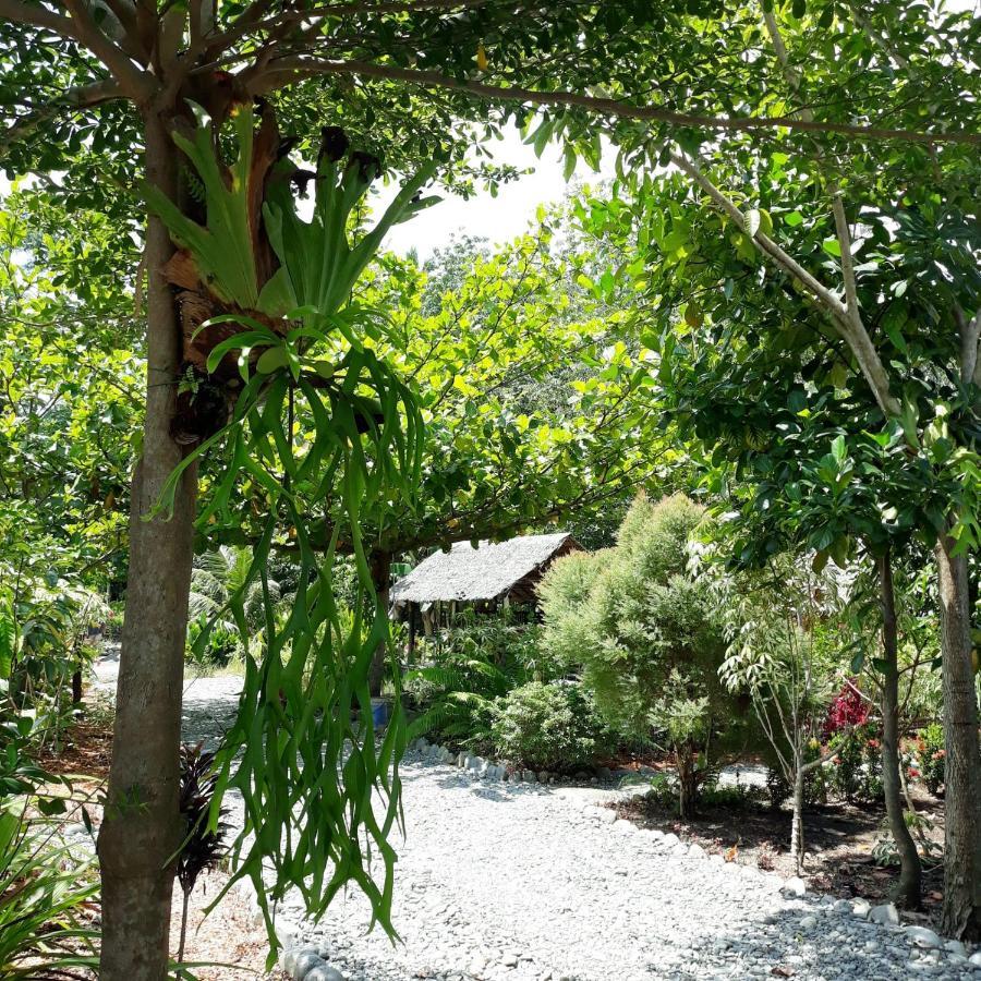 Magpie Homestay & Jungle Trekking Only For Guest Trekking With Us Bukit Lawang Zewnętrze zdjęcie