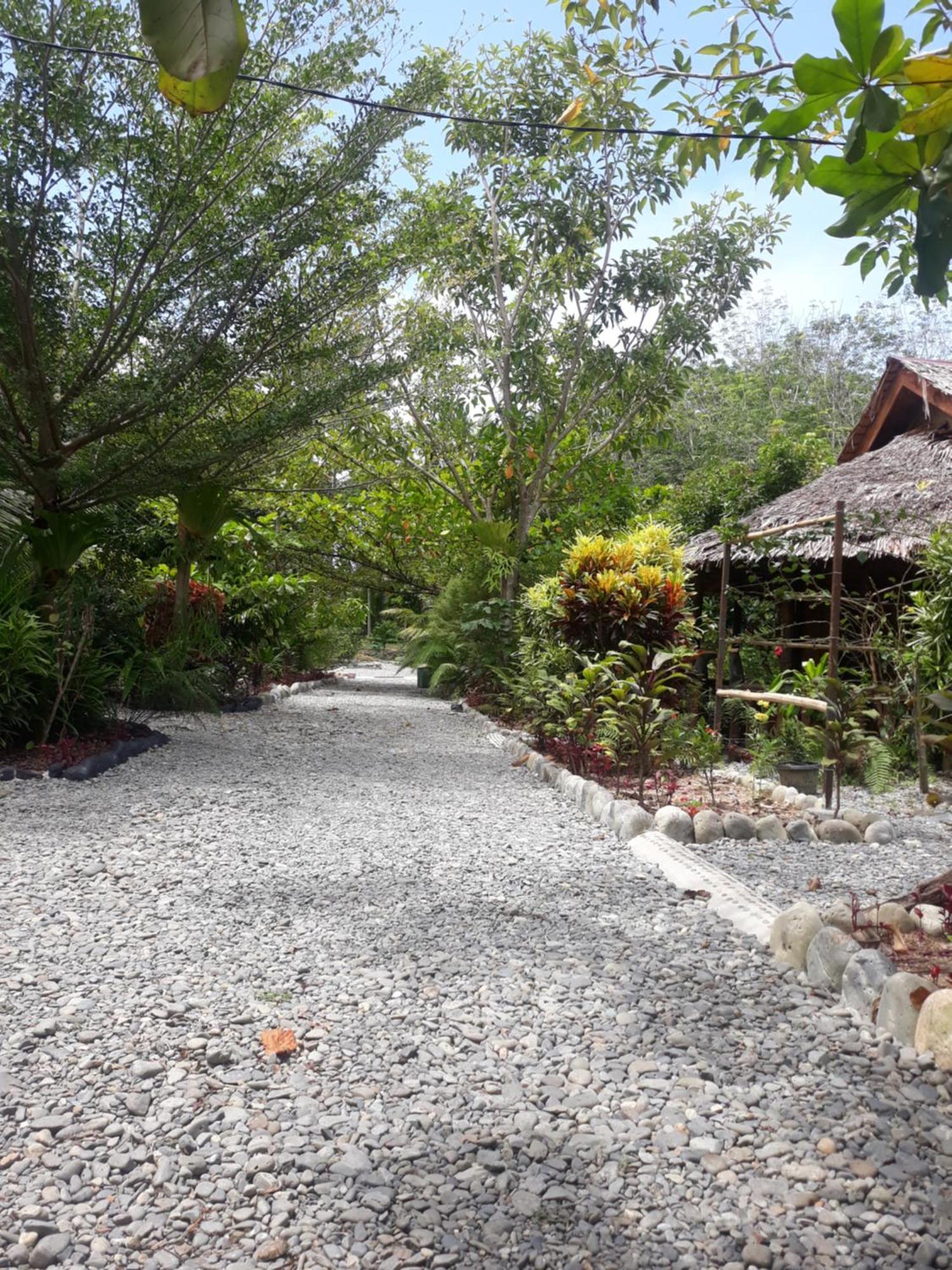 Magpie Homestay & Jungle Trekking Only For Guest Trekking With Us Bukit Lawang Zewnętrze zdjęcie