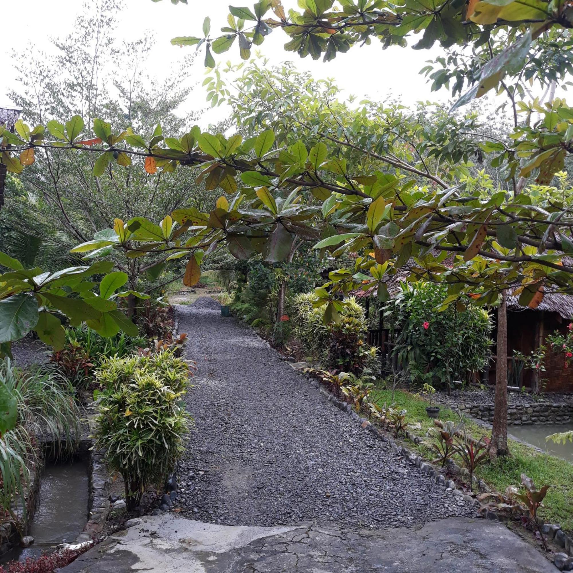 Magpie Homestay & Jungle Trekking Only For Guest Trekking With Us Bukit Lawang Pokój zdjęcie