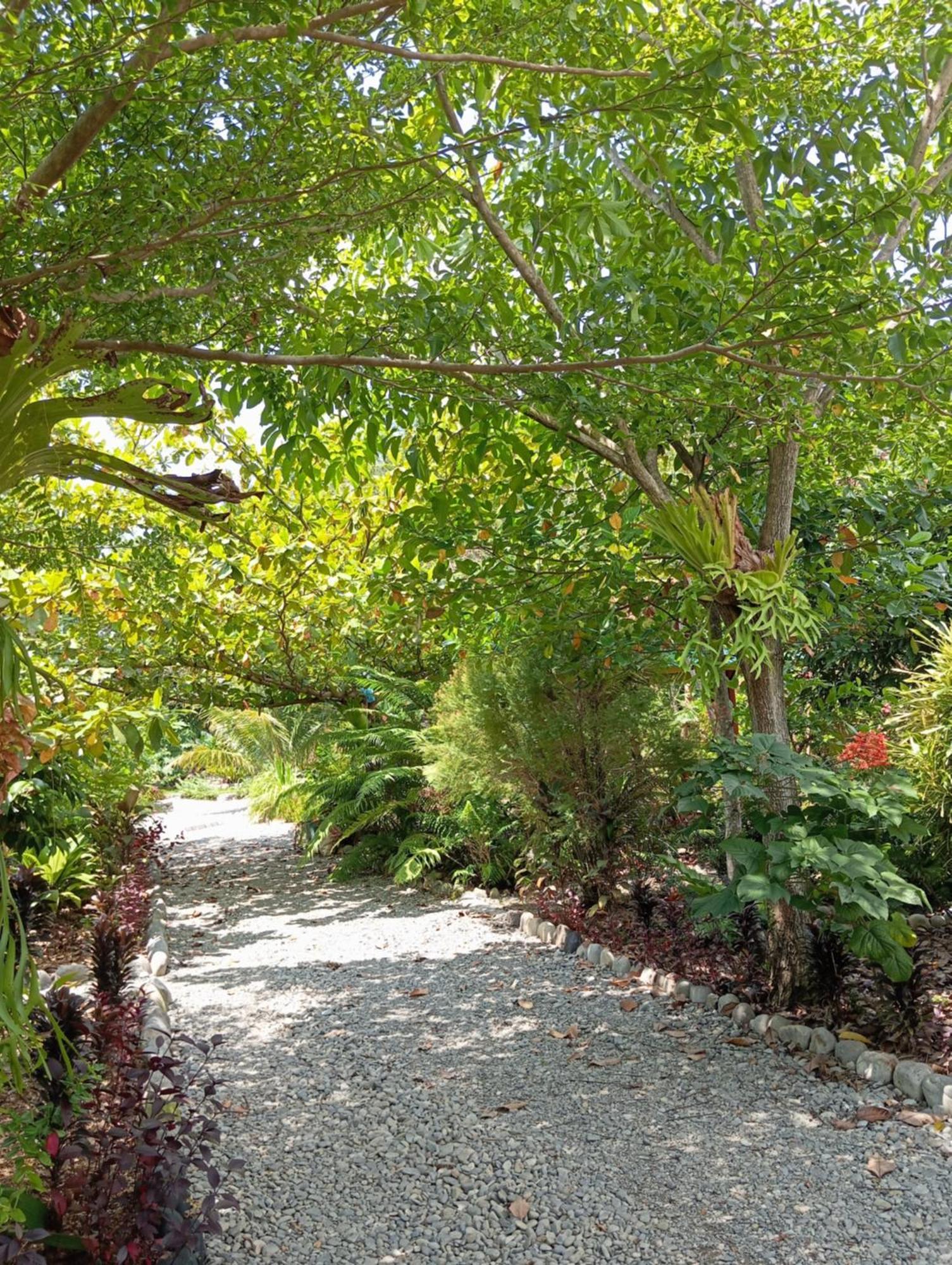 Magpie Homestay & Jungle Trekking Only For Guest Trekking With Us Bukit Lawang Zewnętrze zdjęcie