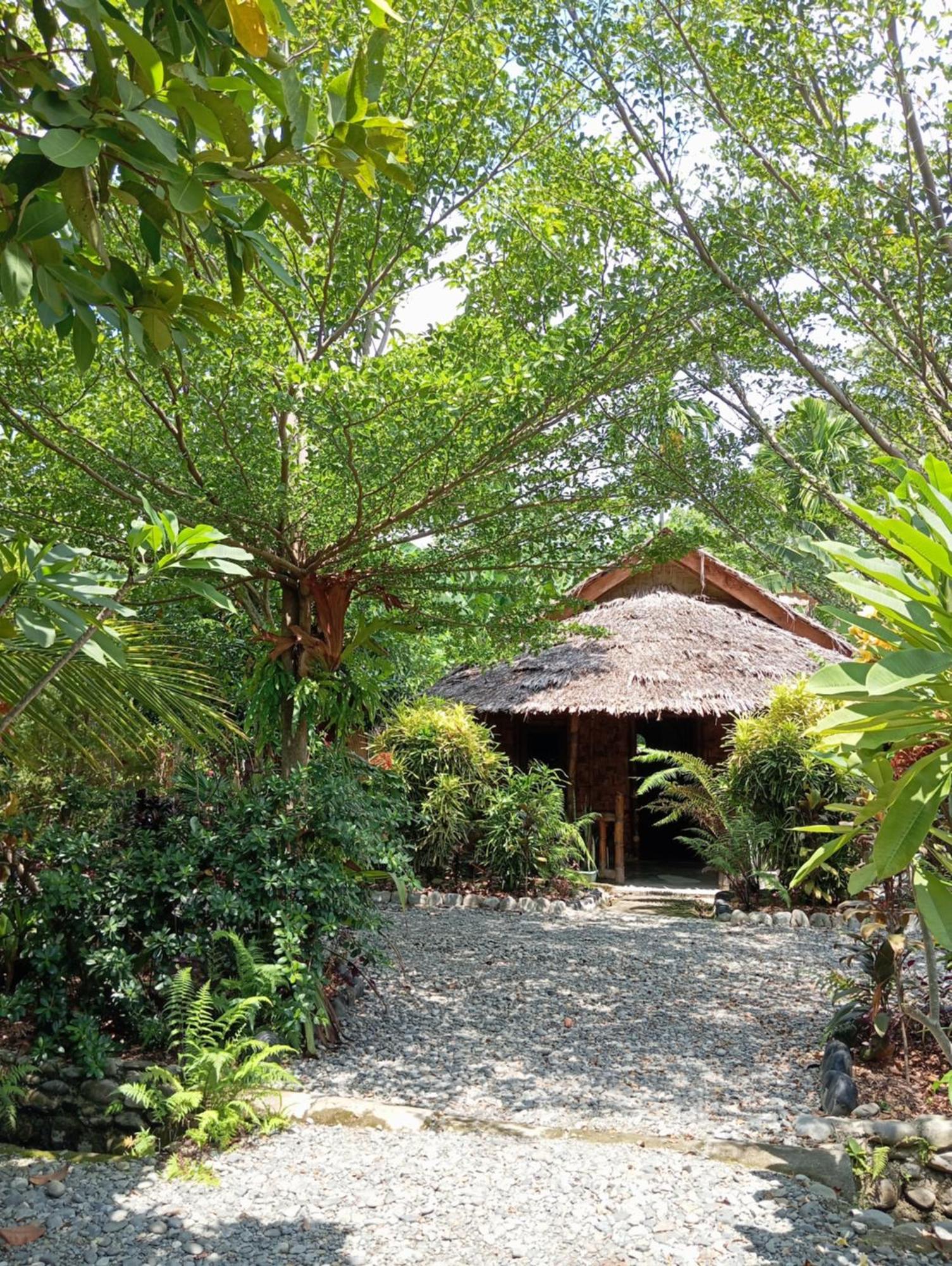 Magpie Homestay & Jungle Trekking Only For Guest Trekking With Us Bukit Lawang Zewnętrze zdjęcie