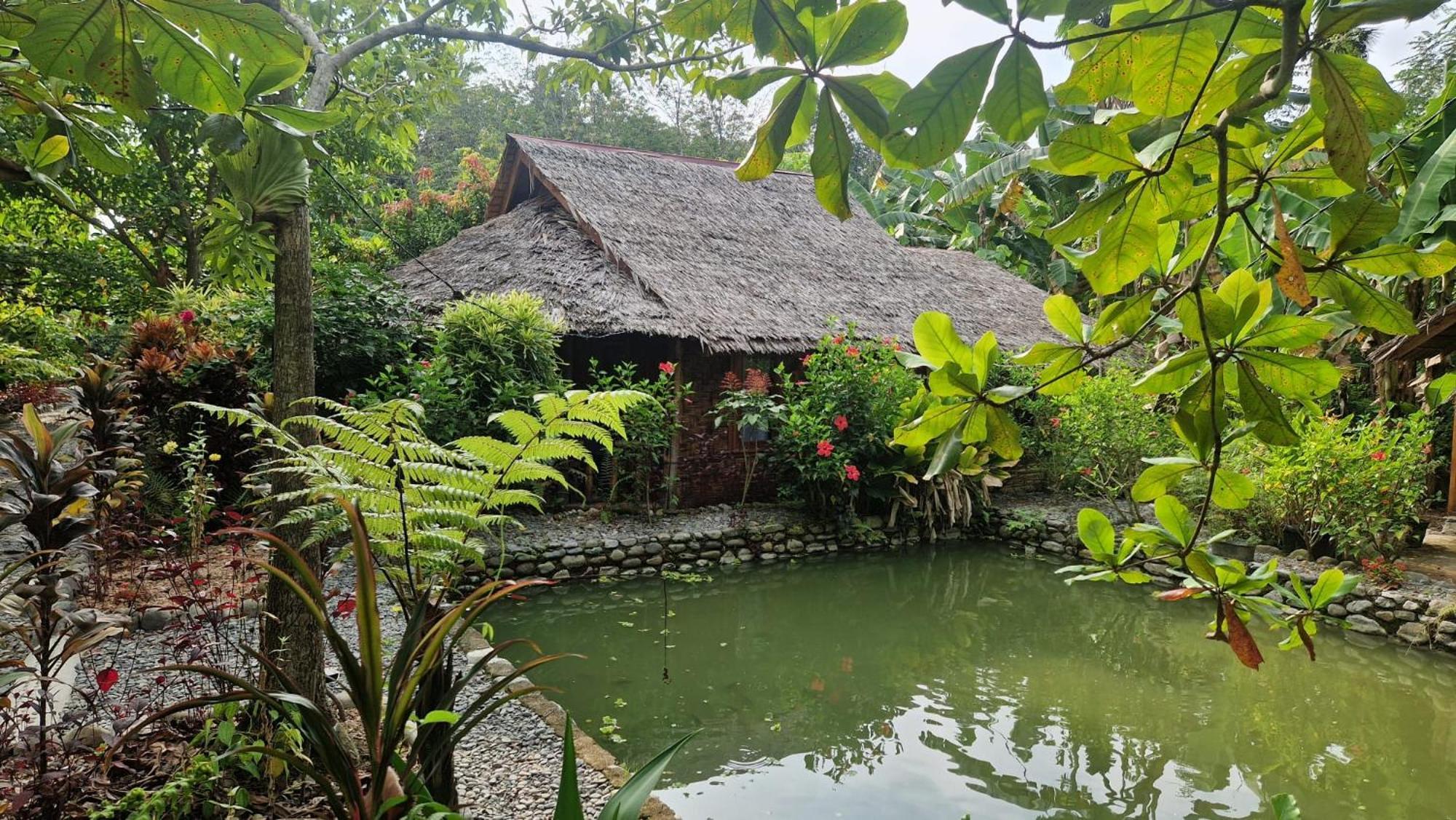 Magpie Homestay & Jungle Trekking Only For Guest Trekking With Us Bukit Lawang Zewnętrze zdjęcie