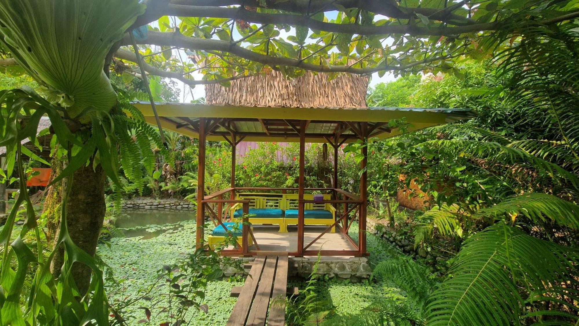 Magpie Homestay & Jungle Trekking Only For Guest Trekking With Us Bukit Lawang Zewnętrze zdjęcie