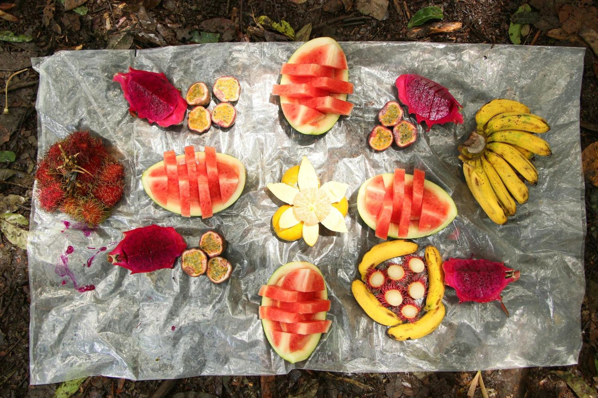 Magpie Homestay & Jungle Trekking Only For Guest Trekking With Us Bukit Lawang Zewnętrze zdjęcie
