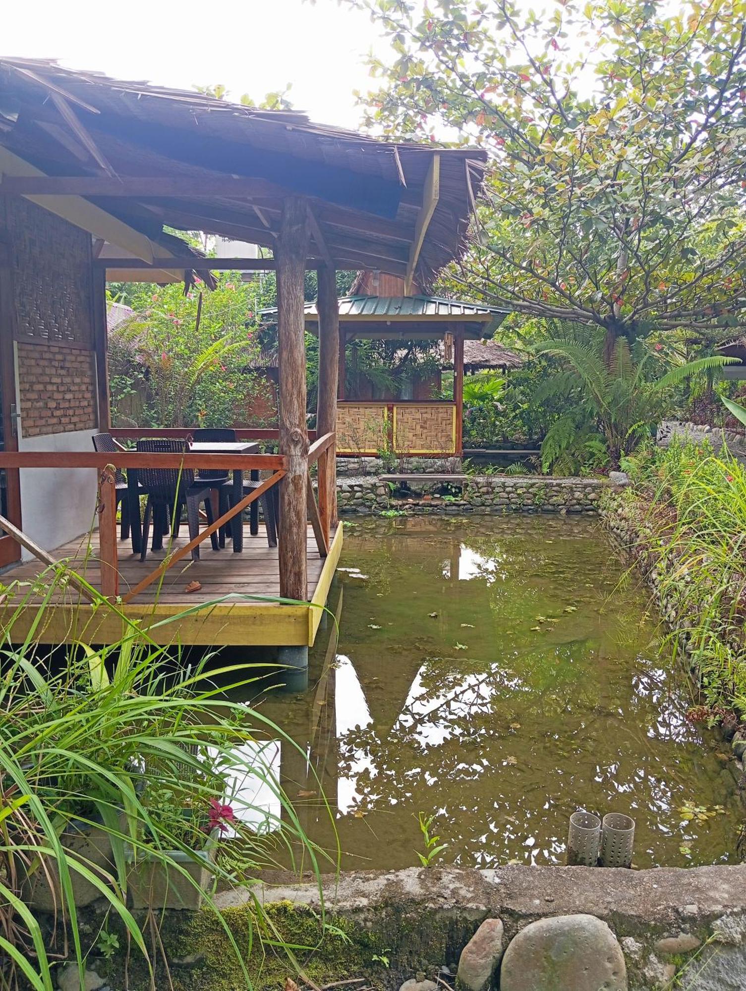 Magpie Homestay & Jungle Trekking Only For Guest Trekking With Us Bukit Lawang Pokój zdjęcie