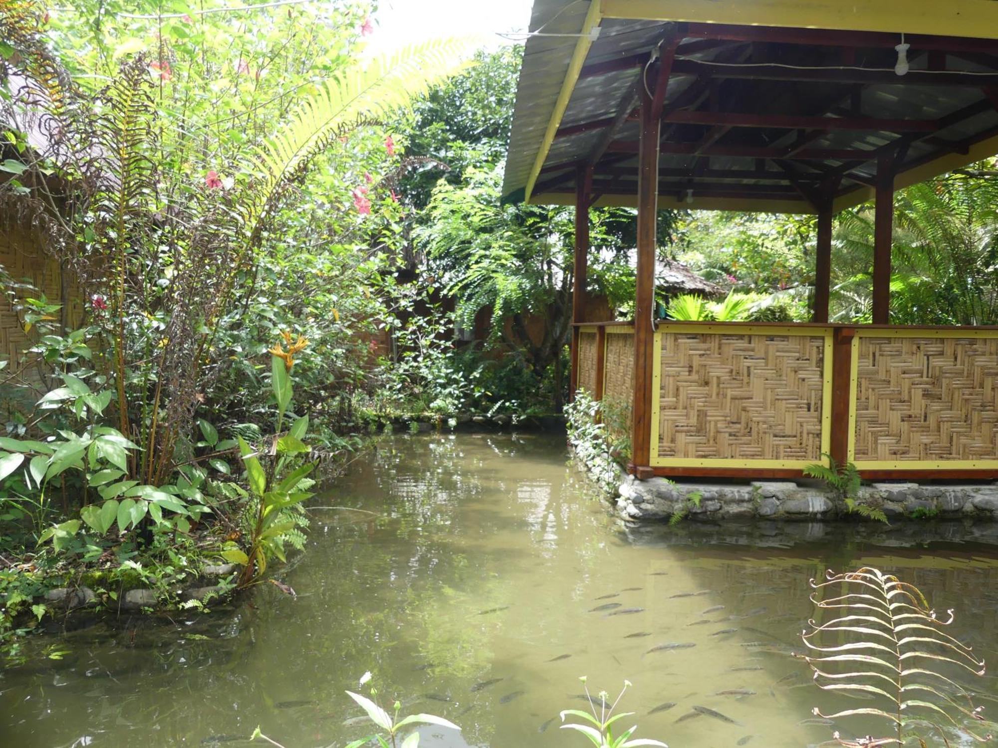 Magpie Homestay & Jungle Trekking Only For Guest Trekking With Us Bukit Lawang Pokój zdjęcie