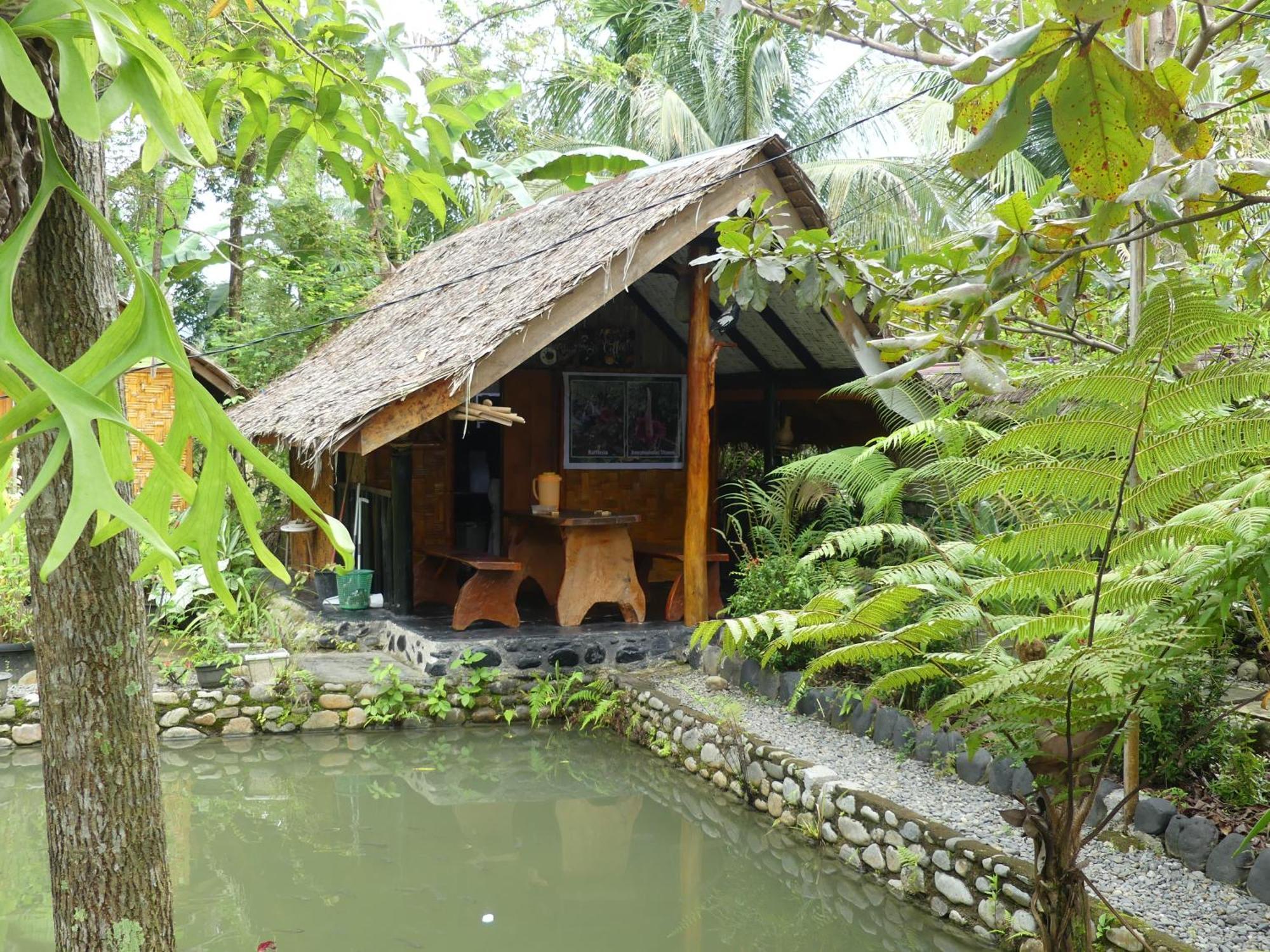 Magpie Homestay & Jungle Trekking Only For Guest Trekking With Us Bukit Lawang Zewnętrze zdjęcie
